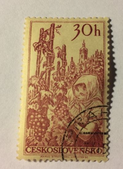 Почтовая марка Чехословакия (Ceskoslovensko ) Woman Gathering Grapes | Год выпуска 1956 | Код каталога Михеля (Michel) CS 984