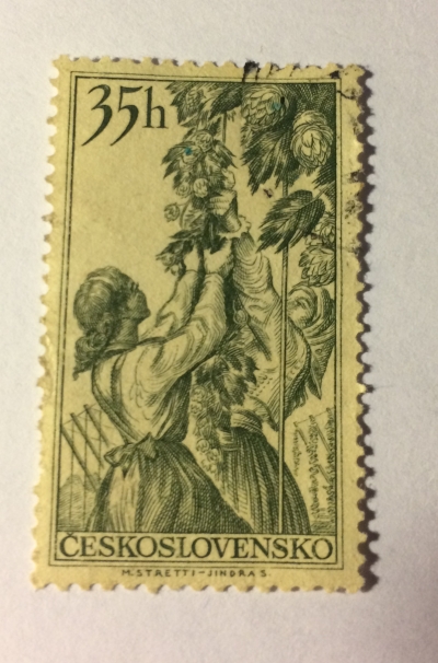 Почтовая марка Чехословакия (Ceskoslovensko ) Women gathering hops | Год выпуска 1956 | Код каталога Михеля (Michel) CS 985