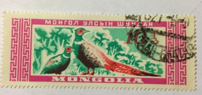 Почтовая марка Монголия - Монгол шуудан (Mongolia) Common Pheasant (Phasianus colchicus) | Год выпуска 1959 | Код каталога Михеля (Michel) MN 171