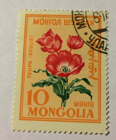 Почтовая марка Монголия - Монгол шуудан (Mongolia) Tulipa edulis | Год выпуска 1960 | Код каталога Михеля (Michel) MN 185