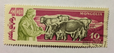 Почтовая марка Монголия - Монгол шуудан (Mongolia) Cattle (Bos primigenius taurus) | Год выпуска 1961 | Код каталога Михеля (Michel) MN 243-2