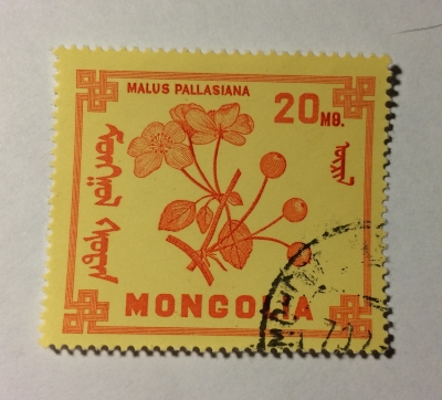Почтовая марка Монголия - Монгол шуудан (Mongolia) Malus pallasiana | Год выпуска 1968 | Код каталога Михеля (Michel) MN 493