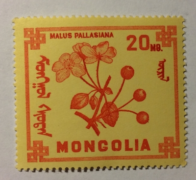 Почтовая марка Монголия - Монгол шуудан (Mongolia) Malus pallasiana | Год выпуска 1968 | Код каталога Михеля (Michel) MN 493-2