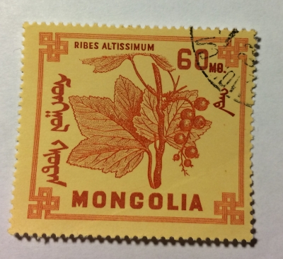 Почтовая марка Монголия - Монгол шуудан (Mongolia) Ribes Altissimum | Год выпуска 1968 | Код каталога Михеля (Michel) MN 495