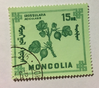 Почтовая марка Монголия - Монгол шуудан (Mongolia) Goose-berries (Grossularia acicularis) | Год выпуска 1968 | Код каталога Михеля (Michel) MN 492
