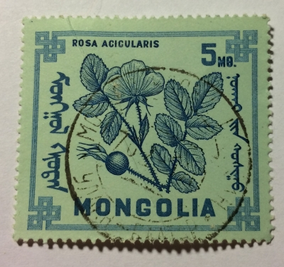 Почтовая марка Монголия - Монгол шуудан (Mongolia) Rosa Acicularis | Год выпуска 1968 | Код каталога Михеля (Michel) MN 490