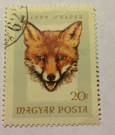 Почтовая марка Венгрия (Magyar Posta) Red Fox (Vulpes vulpes) | Год выпуска 1966 | Код каталога Михеля (Michel) HU 2255A