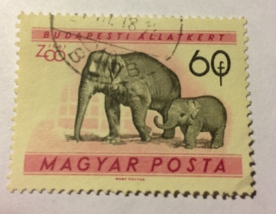 Почтовая марка Венгрия (Magyar Posta) Asian Elephant (Elephas maximus) | Год выпуска 1961 | Код каталога Михеля (Michel) HU 1730A