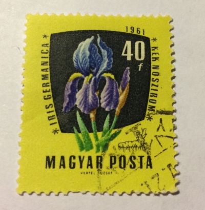 Почтовая марка Венгрия (Magyar Posta) German Iris (Iris germanica) | Год выпуска 1961 | Код каталога Михеля (Michel) HU 1801A