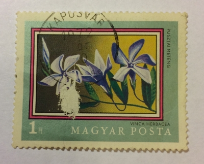 Почтовая марка Венгрия (Magyar Posta) Herbaceous Periwinkle (Vinca herbacea) | Год выпуска 1971 | Код каталога Михеля (Michel) HU 2698A