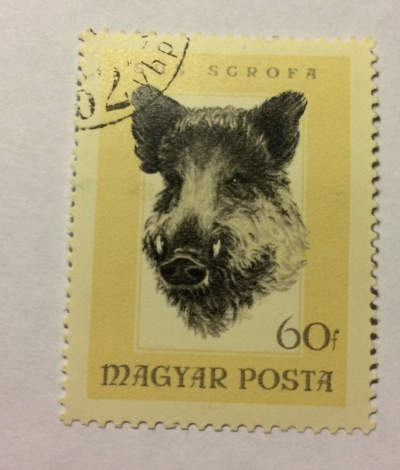 Почтовая марка Венгрия (Magyar Posta) Wild Boar (Sus scrofa) | Год выпуска 1966 | Код каталога Михеля (Michel) HU 2256A