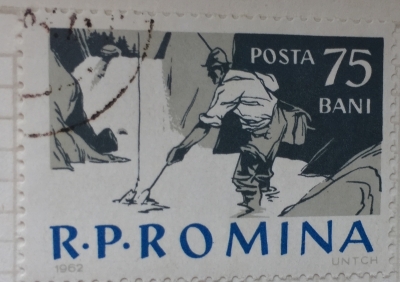 Почтовая марка Румыния (Posta Romana) Fishing with line & landing net | Год выпуска 1962 | Код каталога Михеля (Michel) RO 2082