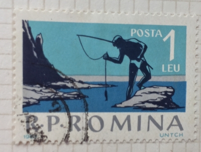 Почтовая марка Румыния (Posta Romana) Sea fishing | Год выпуска 1962 | Код каталога Михеля (Michel) RO 2083