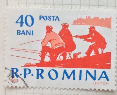 Почтовая марка Румыния (Posta Romana) Pond fishing | Год выпуска 1962 | Код каталога Михеля (Michel) RO 2080