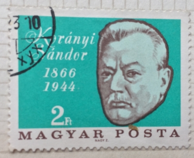 Почтовая марка Венгрия (Magyar Posta) Sándor Korányi (1866-1944) physician and scientist | Год выпуска 1966 | Код каталога Михеля (Michel) HU 2253A