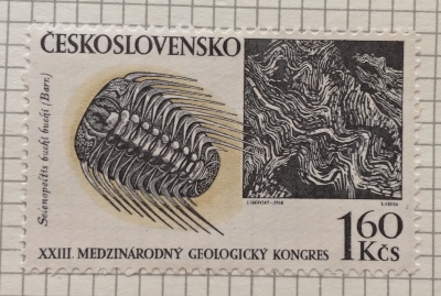 Почтовая марка Чехословакия (Ceskoslovensko) Trilobit Selenopeltis buchi buchi (Barr) | Год выпуска 1968 | Код каталога Михеля (Michel) CS 1813