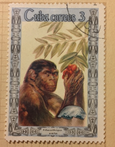 Почтовая марка Куба (Cuba correos) Pithecanthropus erectus | Год выпуска 1967 | Код каталога Михеля (Michel) CU 1282