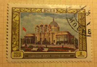 Почтовая марка СССР Павильон:Юные натуралисты | Год выпуска 1956 | Код по каталогу Загорского 1782