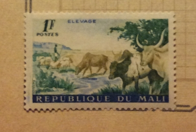 Почтовая марка Мали (Republique du Mali) Cattle Herd (Bos primigenius taurus) | Год выпуска 1961 | Код каталога Михеля (Michel) ML 31