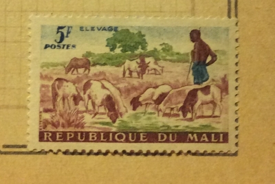 Почтовая марка Мали (Republique du Mali) Shepherd, Sheep (Ovis ammon aries) | Год выпуска 1961 | Код каталога Михеля (Michel) ML 35