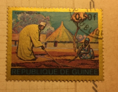 Почтовая марка Республика Гвинея (Rebulique de Guinee) Guinean forest region | Год выпуска 1968 | Код каталога Михеля (Michel) GN 471