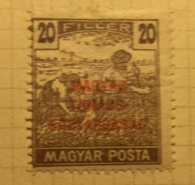 Почтовая марка Венгрия (Magyar Posta) Reaper | Год выпуска 1916 | Код каталога Михеля (Michel) HU 196