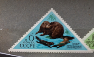 Почтовая марка СССР Бобр | Год выпуска 1973 | Код по каталогу Загорского 4190