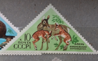 Почтовая марка СССР Олень | Год выпуска 1973 | Код по каталогу Загорского 4191