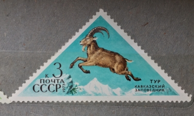 Почтовая марка СССР Тур | Год выпуска 1973 | Код по каталогу Загорского 4188