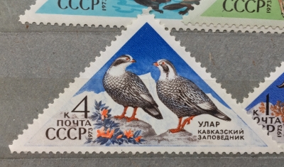 Почтовая марка СССР Улар | Год выпуска 1973 | Код по каталогу Загорского 4189