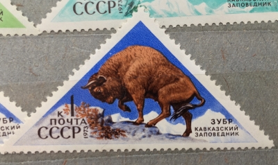 Почтовая марка СССР Зубр | Год выпуска 1973 | Код по каталогу Загорского 4187