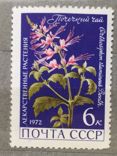 Почтовая марка СССР Почечный чай | Год выпуска 1972 | Код по каталогу Загорского 4041