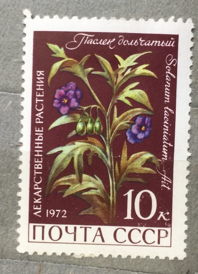 Почтовая марка СССР Паслен дольчатый | Год выпуска 1972 | Код по каталогу Загорского 4042