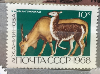 Почтовая марка СССР Канна и гуанако | Год выпуска 1968 | Код по каталогу Загорского 3600-2