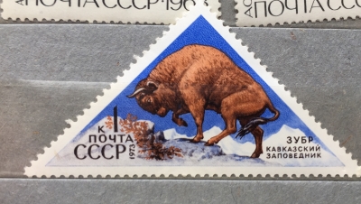 Почтовая марка СССР Зубр | Год выпуска 1973 | Код по каталогу Загорского 4187-2