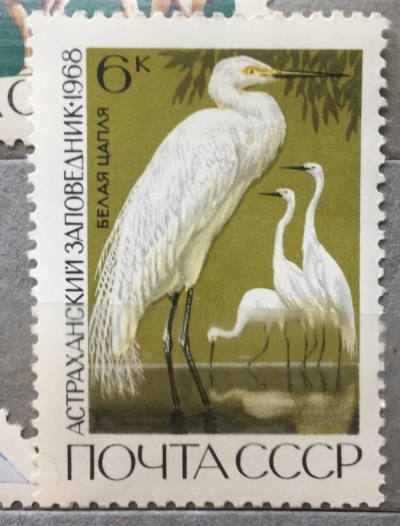 Почтовая марка СССР Белая цапля | Год выпуска 1968 | Код по каталогу Загорского 3596-2