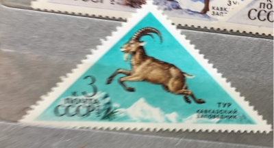 Почтовая марка СССР Тур | Год выпуска 1973 | Код по каталогу Загорского 4188-2