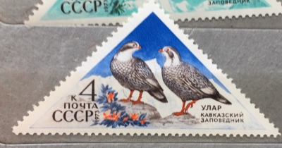 Почтовая марка СССР Улар | Год выпуска 1973 | Код по каталогу Загорского 4189-2