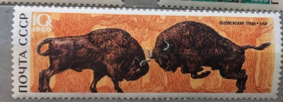Почтовая марка СССР Зубры | Год выпуска 1969 | Код по каталогу Загорского 3719
