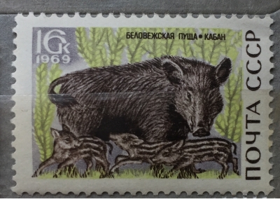 Почтовая марка СССР Кабан | Год выпуска 1969 | Код по каталогу Загорского 3721