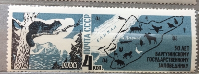 Почтовая марка СССР Баргузинский соболь | Год выпуска 1966 | Код по каталогу Загорского 3287