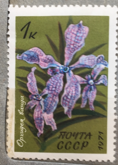 Почтовая марка СССР Орхидея ванда | Год выпуска 1971 | Код по каталогу Загорского 4012
