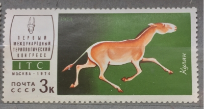 Почтовая марка СССР Кулан | Год выпуска 1974 | Код по каталогу Загорского 4288