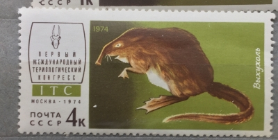 Почтовая марка СССР Выхухоль | Год выпуска 1974 | Код по каталогу Загорского 4289