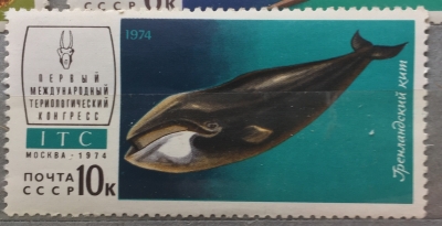 Почтовая марка СССР Гренландский кит | Год выпуска 1974 | Код по каталогу Загорского 4291