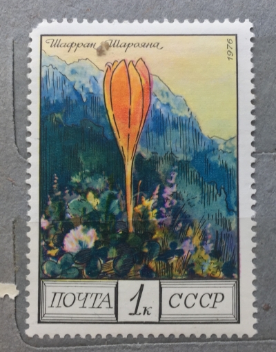 Почтовая марка СССР Шафран Шарояна | Год выпуска 1976 | Код по каталогу Загорского 4595