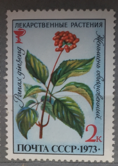 Почтовая марка СССР Женьшень обыкновенный | Год выпуска 1973 | Код по каталогу Загорского 4210