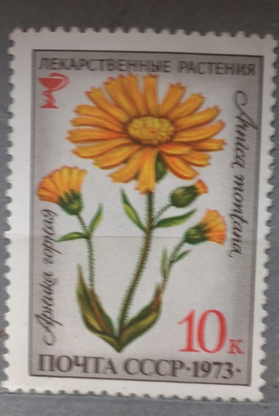 Почтовая марка СССР Арника горная | Год выпуска 1973 | Код по каталогу Загорского 4212