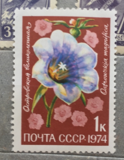 Почтовая марка СССР Островския великолепная | Год выпуска 1974 | Код по каталогу Загорского 4351