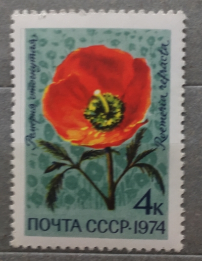 Почтовая марка СССР Ремерия отогнутая | Год выпуска 1974 | Код по каталогу Загорского 4353